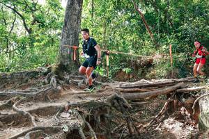 BIB: 
                            <button type="button" onclick="openModal(27718186)" class="btn btn-primary btn-sm float-right btn-popup" data-toggle="modal" data-target=".modal-high-quality">
                        <i class="fas fa-shopping-cart"></i> Add to Cart
                    </button>
                                            <button type="button" onclick="isThisMe(27718186, true)" class="btn btn-success btn-sm float-right btn-popup btn-isme hidden" data-toggle="tooltip" data-placement="bottom" title="นี่คือรูปของคุณใช่ไหม คลิกที่นี่เพื่อเอาเข้าอัลบั้ม">
                        <i class="fas fa-plus"></i> Add to album
                    </button>
                    <button type="button" onclick="isThisMe(27718186, false)" class="btn btn-warning btn-sm float-right btn-popup btn-isnotme hidden">
                        <i class="fas fa-ban"></i> Remove from album
                    </button>